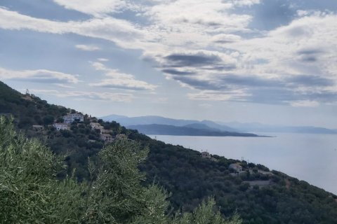 18000m² Land en Corfu, Greece No. 55910 20