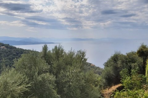 18000m² Land in Corfu, Greece No. 55910 5