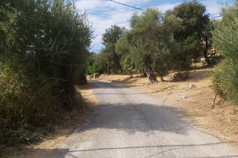 18000m² Land in Corfu, Greece No. 55910 28