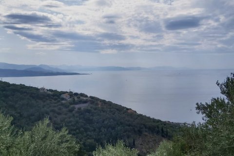 18000m² Land in Corfu, Greece No. 55910 1