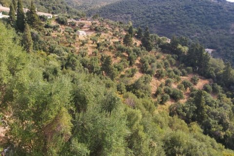 18000m² Land en Corfu, Greece No. 55910 24