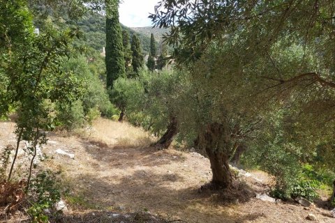 18000m² Land in Corfu, Greece No. 55910 17