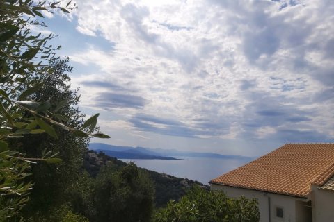 18000m² Land in Corfu, Greece No. 55910 4