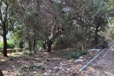 18000m² Land in Corfu, Greece No. 55910 9