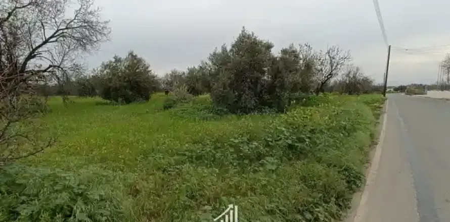 7358m² Land in Tremithousa, Cyprus No. 35478