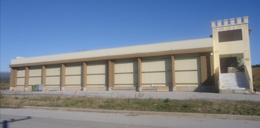 1375m² Commercial property à Chalkidiki, Greece No. 49070