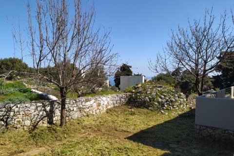 3 chambres House à Chania, Greece No. 23901 7