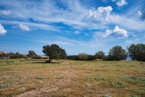 11977m² Land à Chania, Greece No. 23899 4