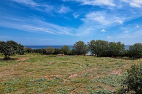 11977m² Land in Chania, Greece No. 23899 13