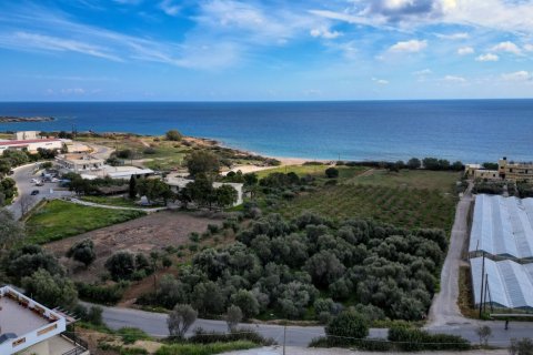 11977m² Land en Chania, Greece No. 23899 12