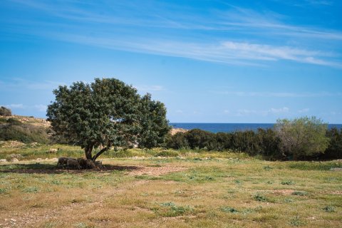 11977m² Land in Chania, Greece No. 23899 3