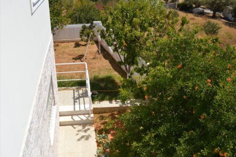 7 bedrooms Villa in Athens, Greece No. 49479 14