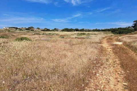 7900m² Land à Ayia Napa, Cyprus No. 44075 8