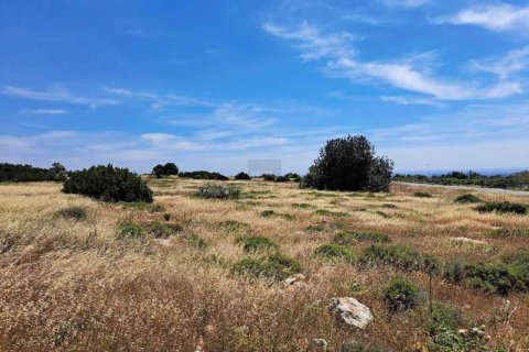 7900m² Land à Ayia Napa, Cyprus No. 44075 6