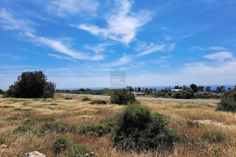 7900m² Land à Ayia Napa, Cyprus No. 44075 9