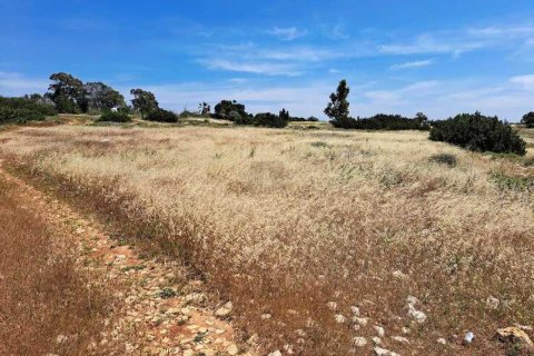 7900m² Land à Ayia Napa, Cyprus No. 44075 7