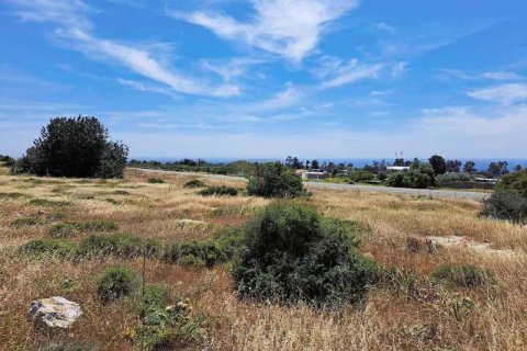 7900m² Land à Ayia Napa, Cyprus No. 44075 4