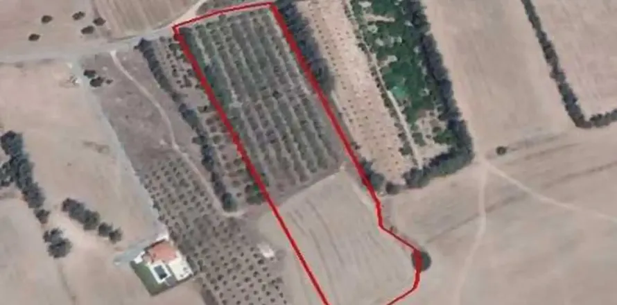 18228m² Land en Kouklia, Cyprus No. 35687