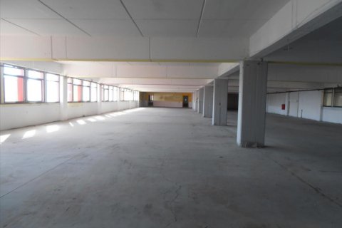 2524m² Commercial property in Pieria, Greece No. 48908 5