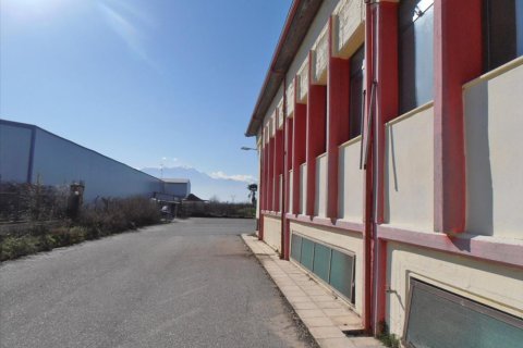 2524m² Commercial property à Pieria, Greece No. 48908 4