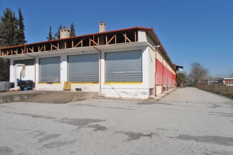 2524m² Commercial property in Pieria, Greece No. 48908 2