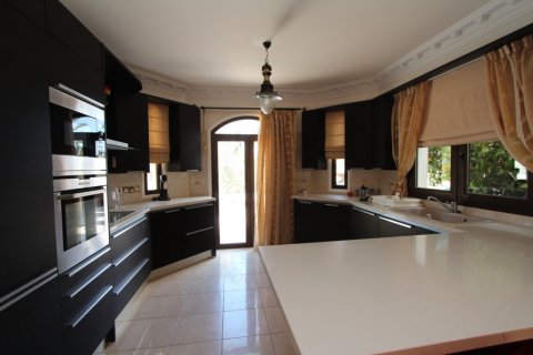 4 bedrooms Villa in Paralimni, Cyprus No. 36589 10