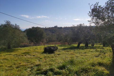 9000m² Land in Corfu, Greece No. 55679 6