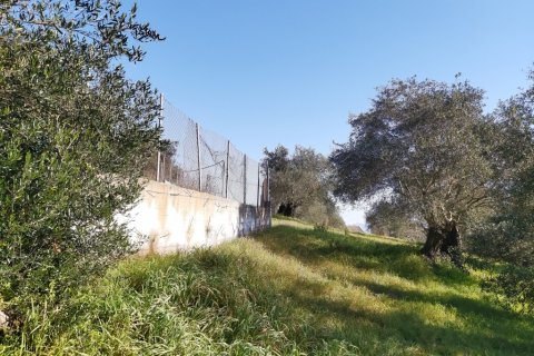 9000m² Land in Corfu, Greece No. 55679 7