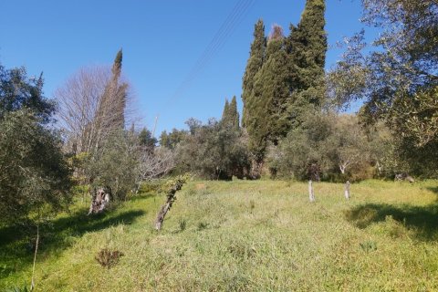 9000m² Land in Corfu, Greece No. 55679 4