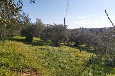 9000m² Land in Corfu, Greece No. 55679 3