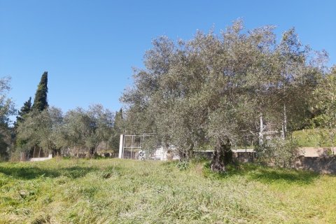 9000m² Land in Corfu, Greece No. 55679 8