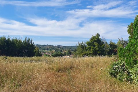 8962m² Land in Chalkidiki, Greece No. 60658 2