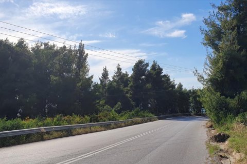 8962m² Land à Chalkidiki, Greece No. 60658 4