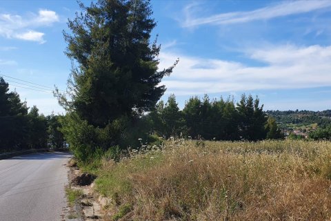 8962m² Land in Chalkidiki, Greece No. 60658 3