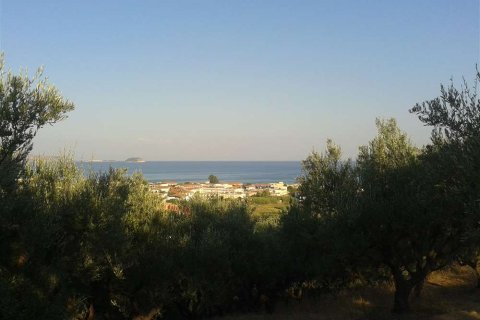 Land in Zakynthos, Greece No. 69519 10