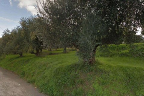 Land in Zakynthos, Greece No. 69519 6