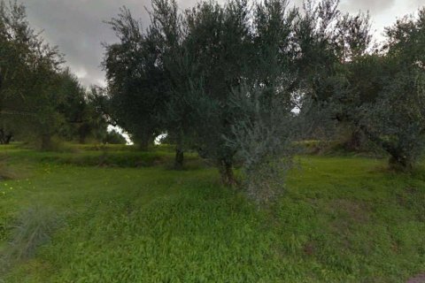 Land in Zakynthos, Greece No. 69519 4