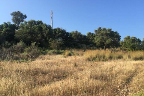 Land in Zakynthos, Greece No. 69535 11