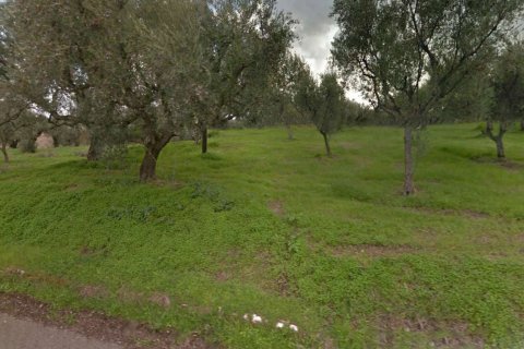 Land in Zakynthos, Greece No. 69517 6