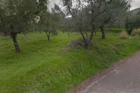 Land in Zakynthos, Greece No. 69517 9