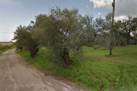 Land in Zakynthos, Greece No. 69517 1