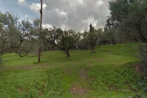 Land in Zakynthos, Greece No. 69517 4