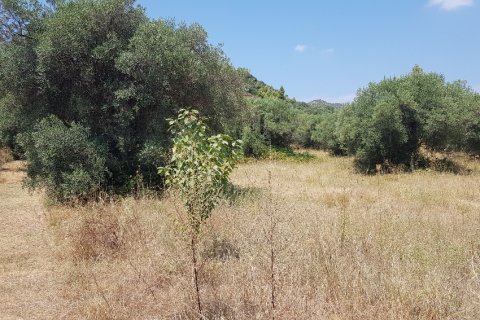 20000m² Land à Chalkidiki, Greece No. 56507 1