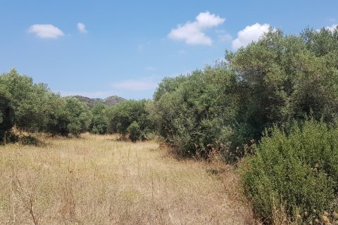 20000m² Land in Chalkidiki, Greece No. 56507 2