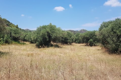 20000m² Land à Chalkidiki, Greece No. 56507 3