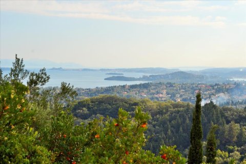 14530m² Land à Corfu, Greece No. 56499 25