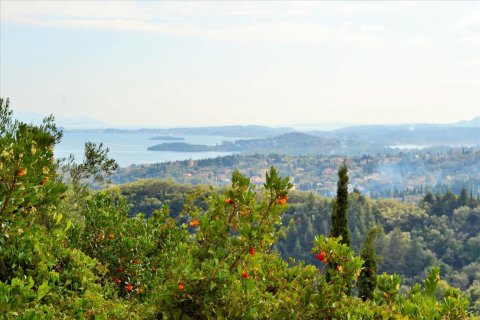 14530m² Land en Corfu, Greece No. 56499 23