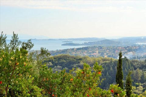 14530m² Land à Corfu, Greece No. 56499 1