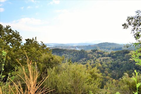 14530m² Land in Corfu, Greece No. 56499 21