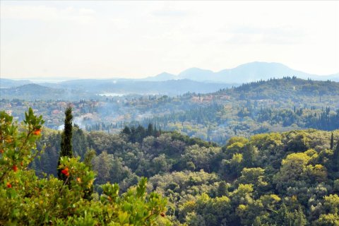 14530m² Land en Corfu, Greece No. 56499 24